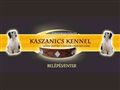 http://kaszanicskennel.hu ismertető oldala